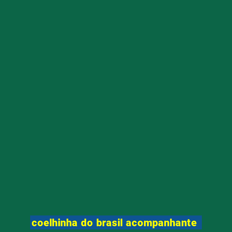 coelhinha do brasil acompanhante